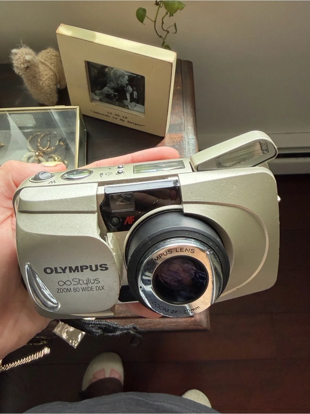 Olympus portable point